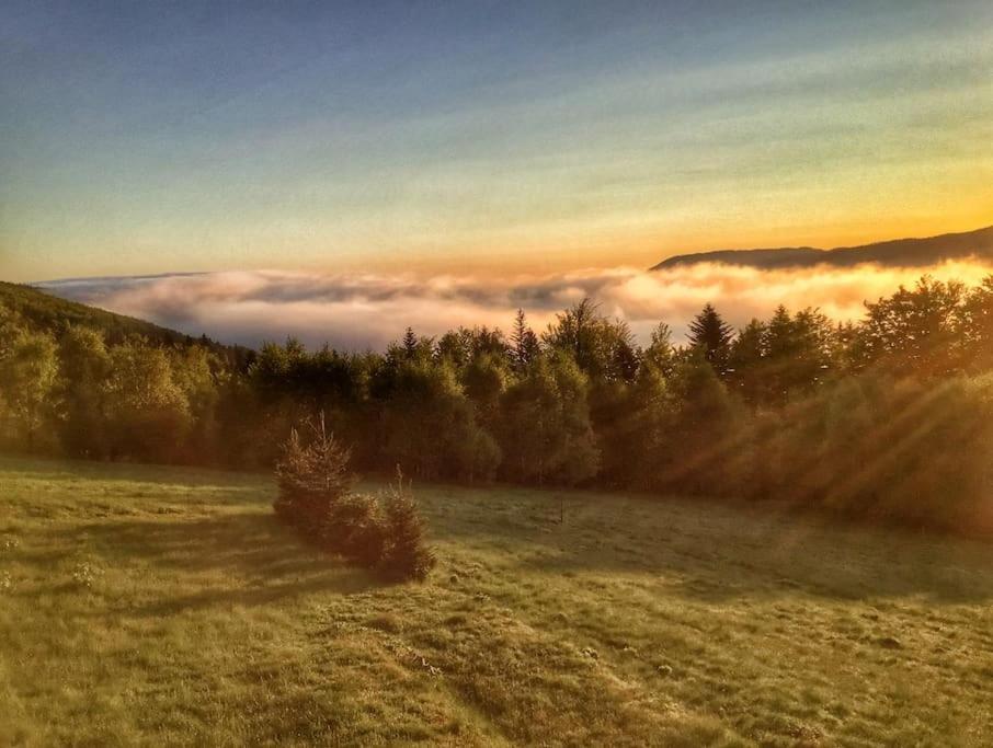 Domek Gorski Na Polanie Goryczkowej 700 M Npm - Szczyrk Dojazd Samochodem Terenowym, W Zimie Utrudniony - Wymagane Lancuchy Bagian luar foto