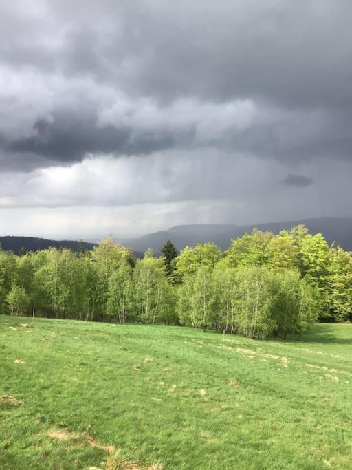 Domek Gorski Na Polanie Goryczkowej 700 M Npm - Szczyrk Dojazd Samochodem Terenowym, W Zimie Utrudniony - Wymagane Lancuchy Bagian luar foto